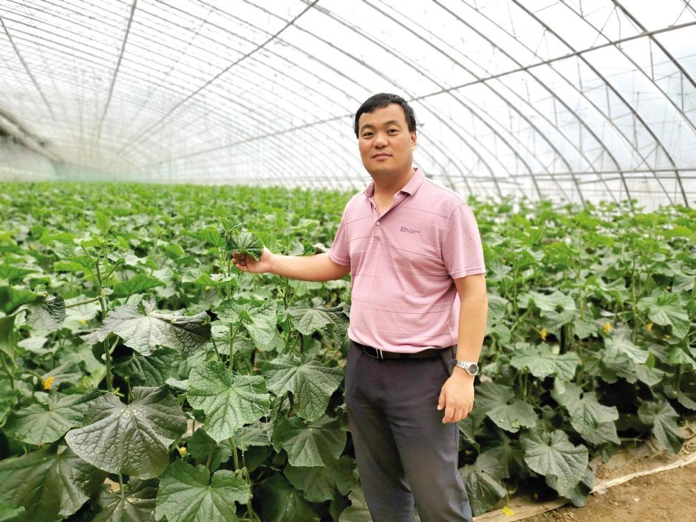 李涛主任探访烟台农科院：种子在现代农业的核心地位及杂交选种技术